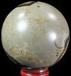 Polished Septarian Sphere - Madagascar #67867-1